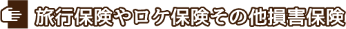 旅行保険やロケ保険その他損害保険